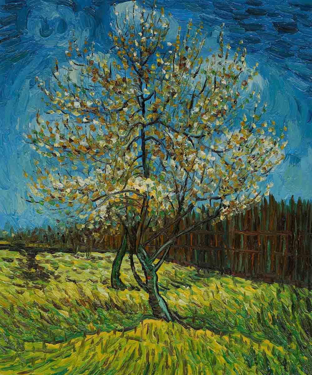 Pink Peach Tree - Van Gogh Painting On Canvas
